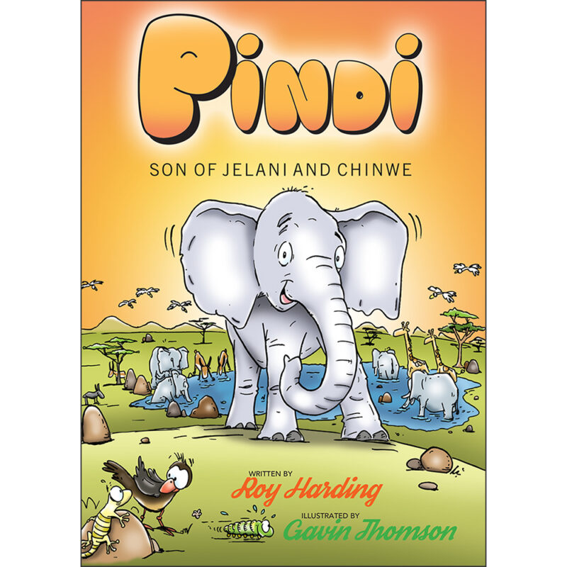 Pindi