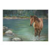 Lisa Halstead - Horse