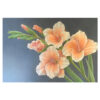 Lisa Halstead - peach-colored gladiolus flowers