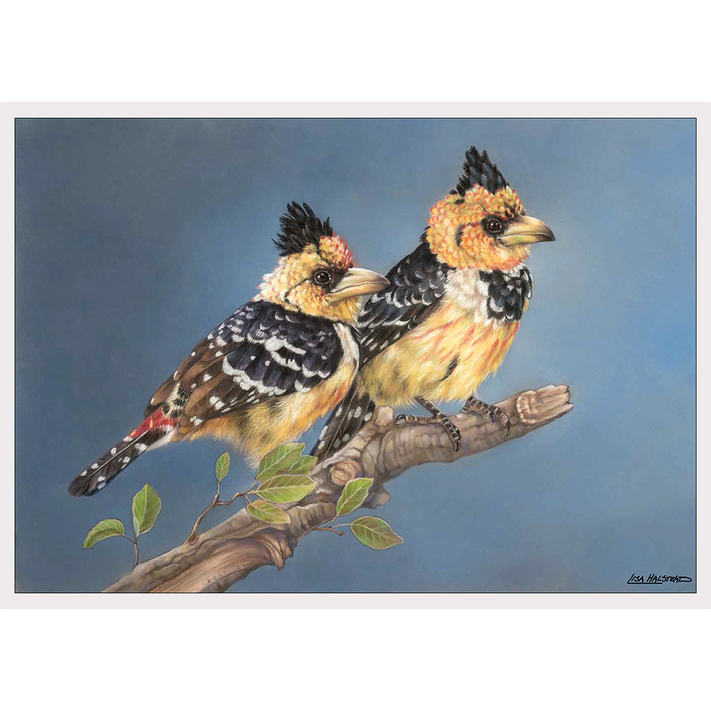 PDP 2027 May Birds PDP 2027 May Birds